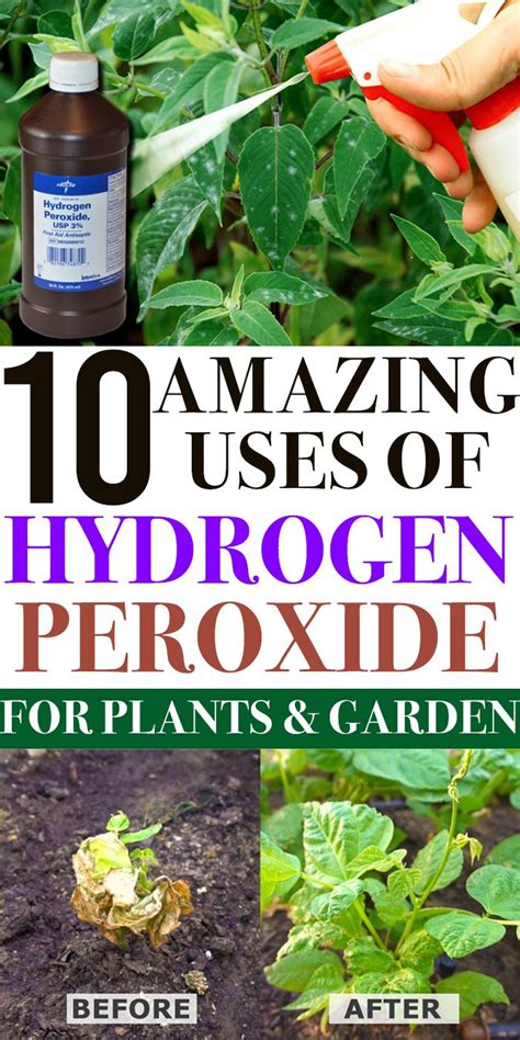 The magic of hydrogen peroxide
